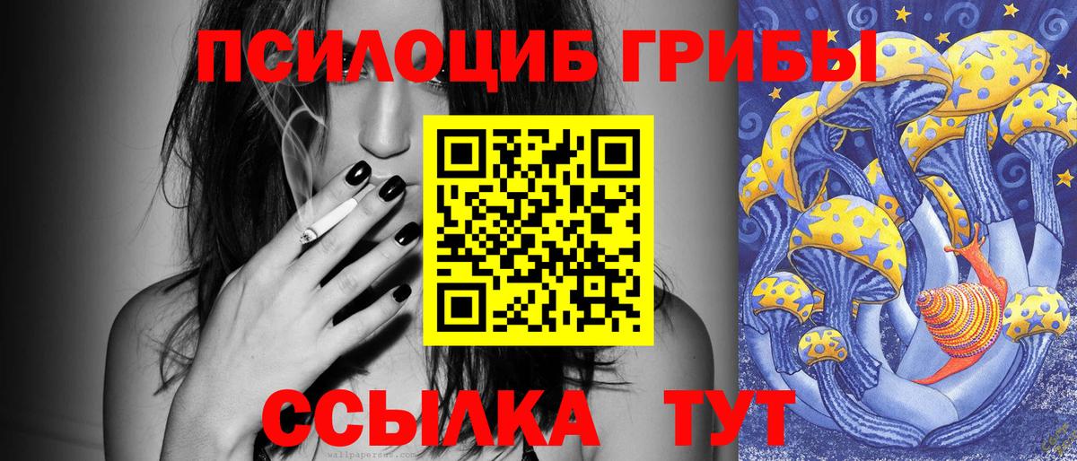 Псилоцибиновые грибы Psilocybine cubensis  Псилоцибиновые грибы мухоморы  Вход с VPN  Зерноград 