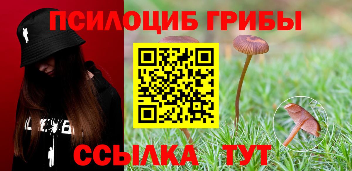 Галлюциногенные грибы Magic Shrooms Зерноград